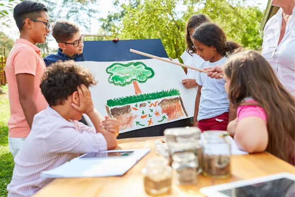 Escolas sustentáveis ajudam a reduzir a pegada de carbono