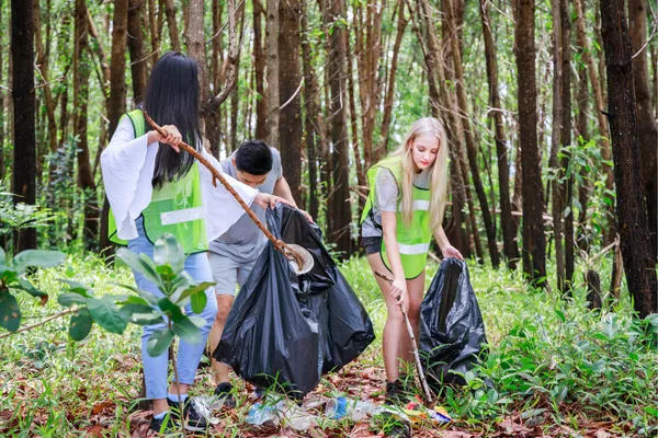 O Que São ODS: Entenda os Objetivos de Desenvolvimento Sustentável (ODS)