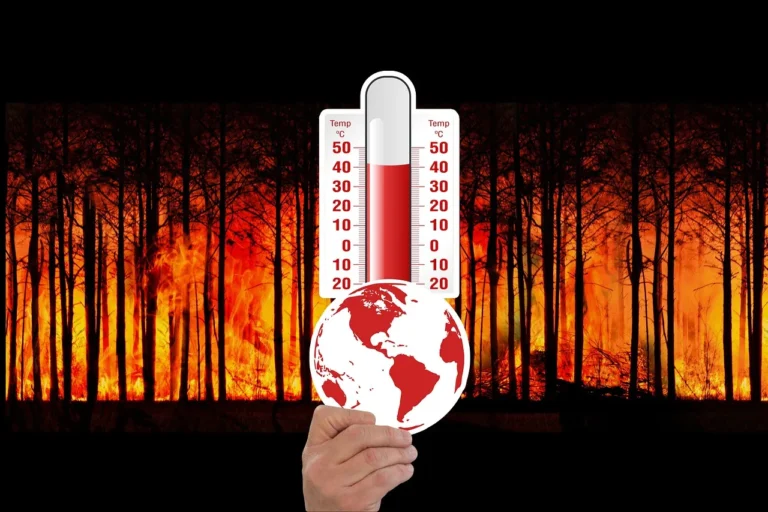 Impactos do Aquecimento Global no Planeta