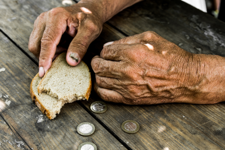 Fome Zero e Agricultura Sustentável