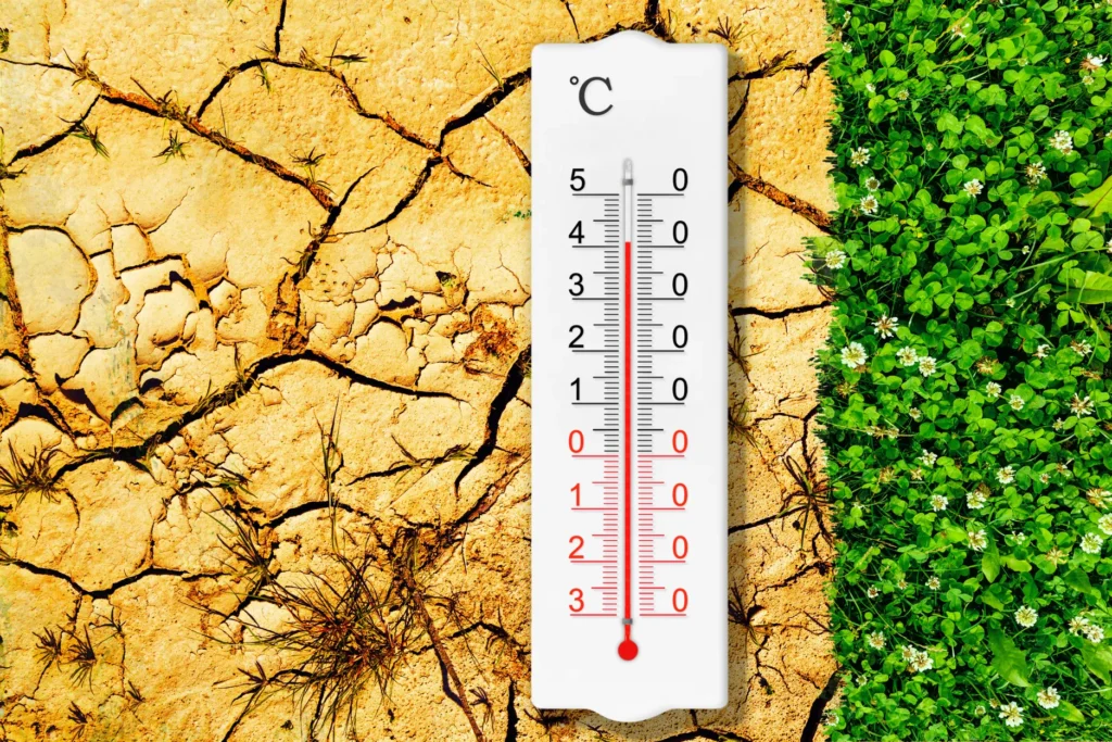 Efeitos das Mudanças Climáticas