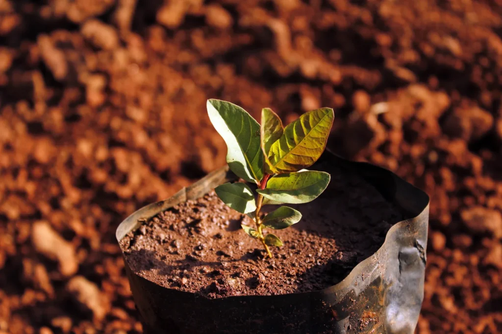 soluções para combater as mudanças climática