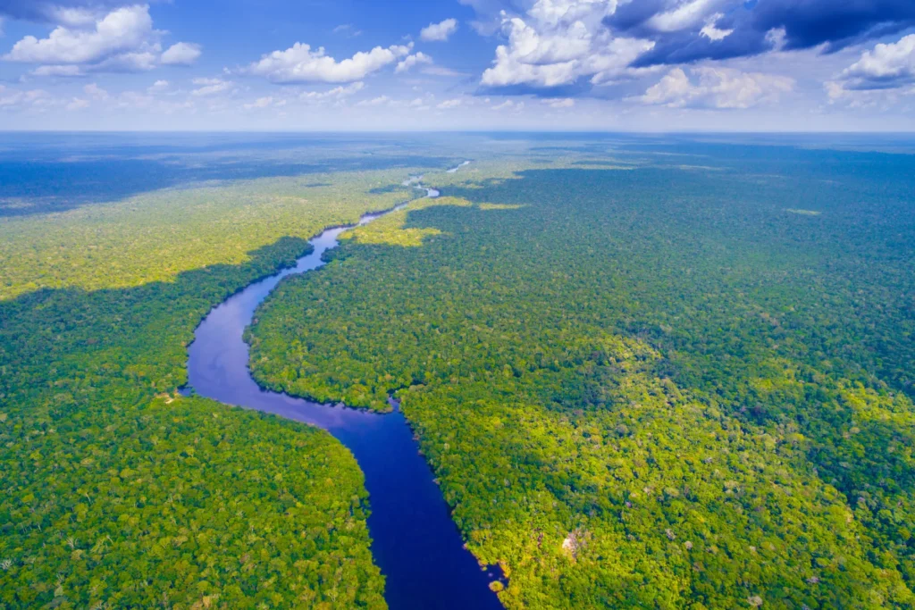 Amazônia na regulação climática