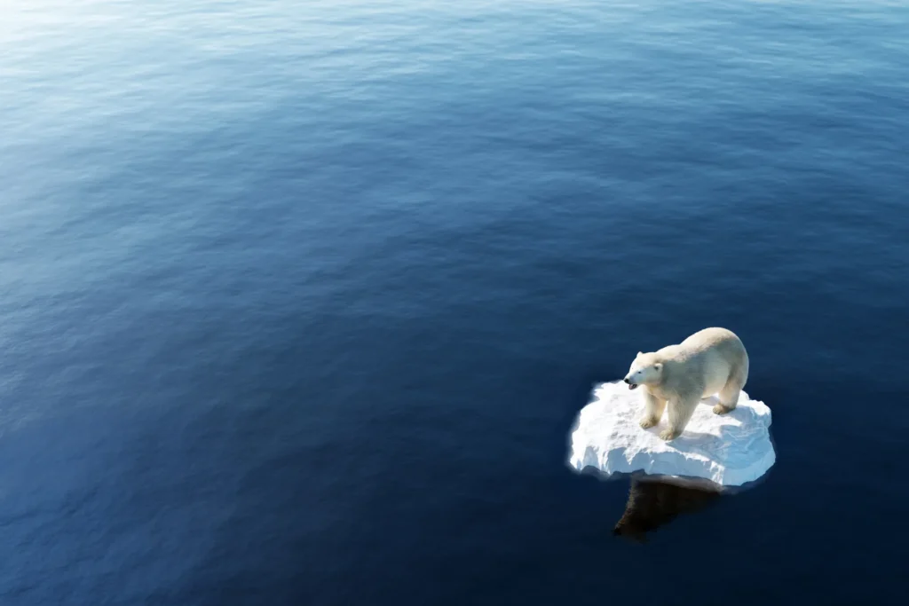 A Face da Crise Climática nos EUA