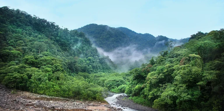 Supressão da vegetação na Floresta Amazônica